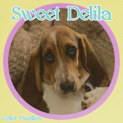 Sweet Delila