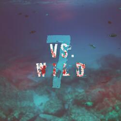 Der ultimative 7 vs. Wild 2 Song