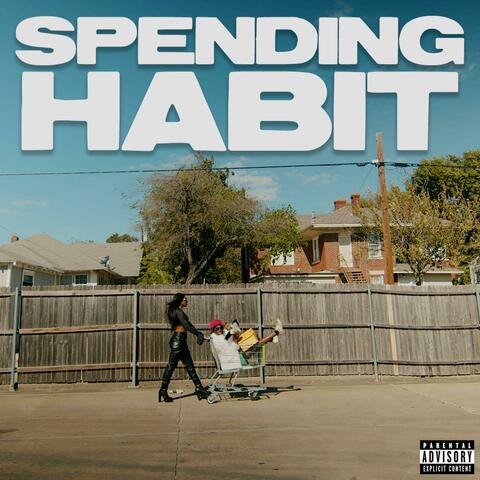 Spending Habit