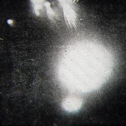 When I Looked Up, All Life Had Vanished