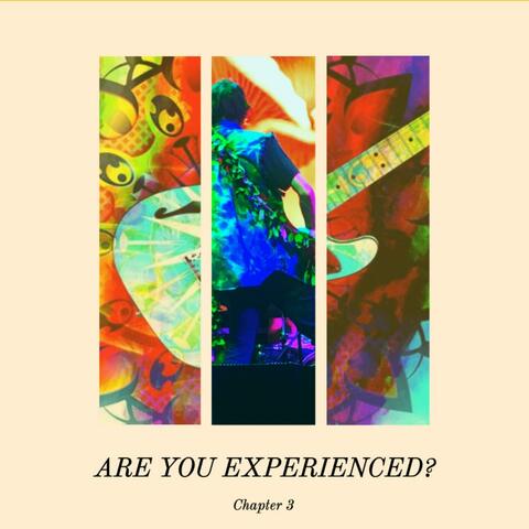 Are You Experienced (Chapter 3)