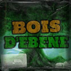 BOIS D'ÉBÈNE (feat. Lunar_)