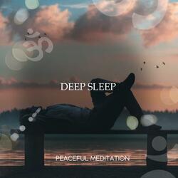 Deep Sleep, Pt. 1