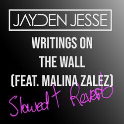 Writings On The Wall (feat. Malina Zalez)