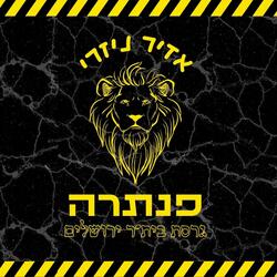 פנתרה (גרסת בית"ר)