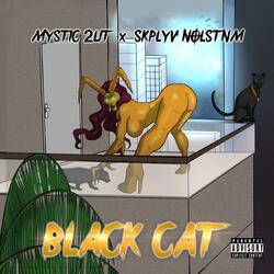 Black Cat (feat. Skplyv Nolstnm)