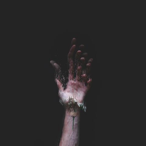 Nothing Is Forever
