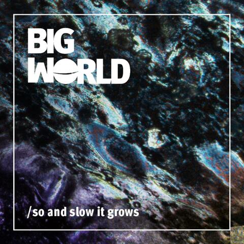 so and slow it grows