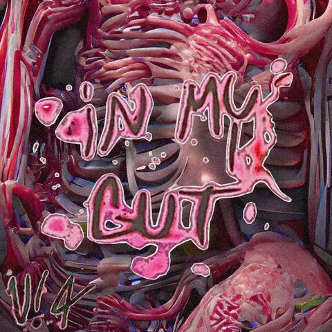 in my gut