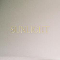 Sunlight (feat. Shawn Tkach)