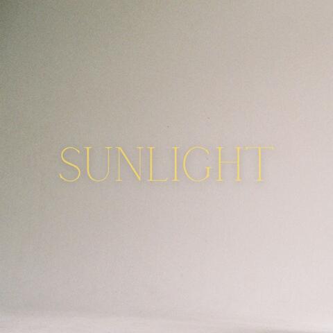 Sunlight (feat. Shawn Tkach)