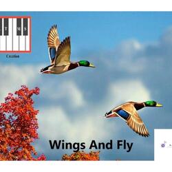 Wings And Fly