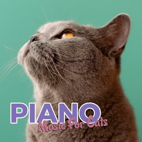 Cat Piano Music