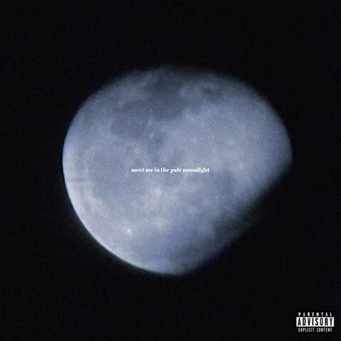 Meet Me In The Pale Moonlight
