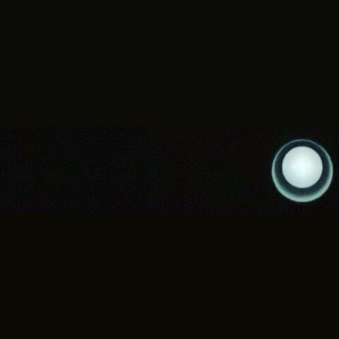 L S D
