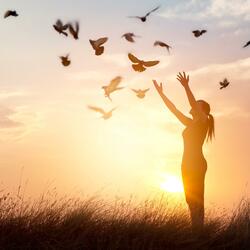 Free