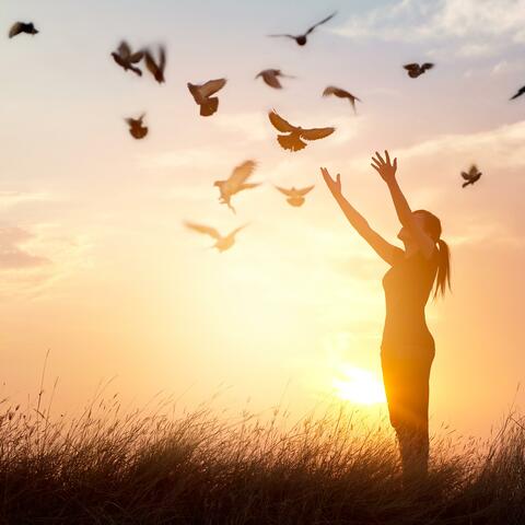 Free