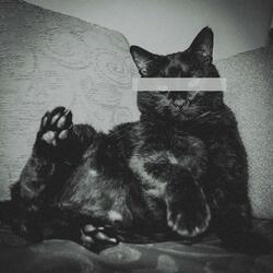 Eavesdropper (feat. Sotti)