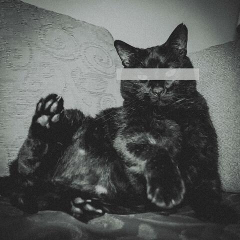 Eavesdropper (feat. Sotti)