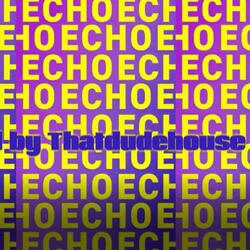 Echo