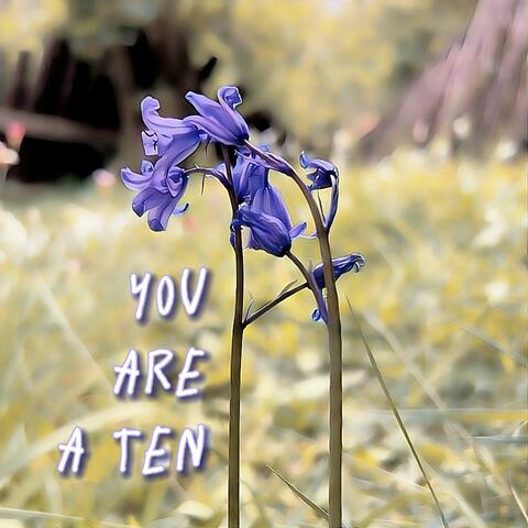 You Are A Ten