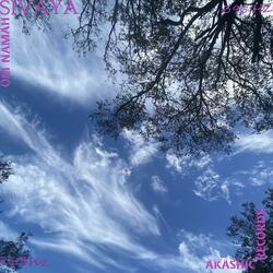 WE ALL HAVE OUR REASONS (feat. NAXARITE & 999ROMA)