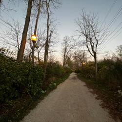 Winter2022Instrumental