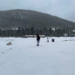 I wish we died in 2012