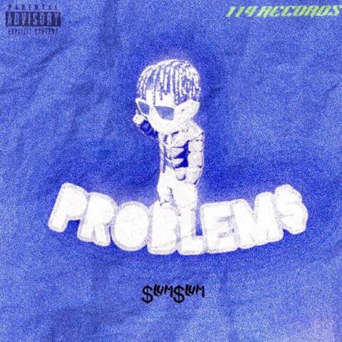 PROBLEMS