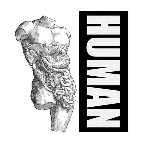 Human