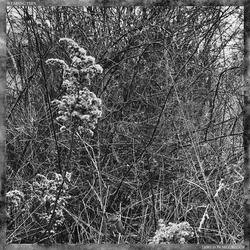 i stare into the dark