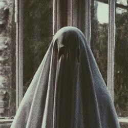 Shallow Graves