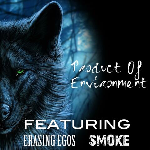 PRODUCT OF ENVIRONMENT