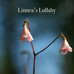 Linnea's Lullaby