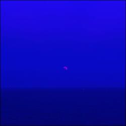 My wilted lover in my dreams of blue