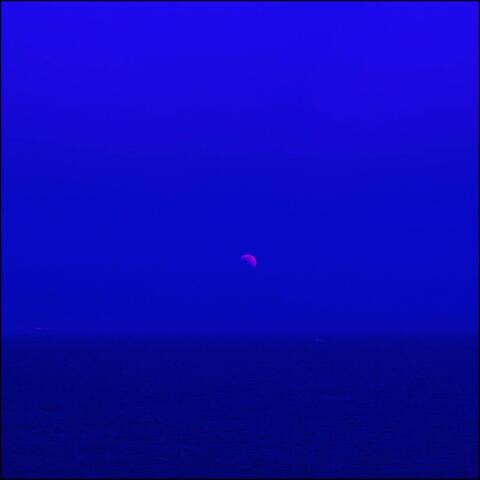 My wilted lover in my dreams of blue