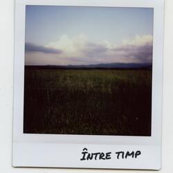 Între timp