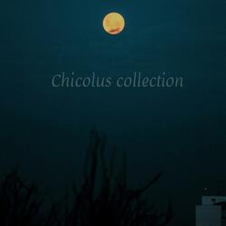 Chicolus intro