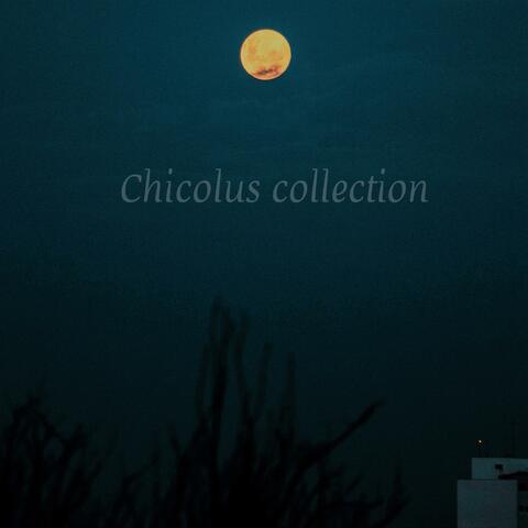 Chicolus collection