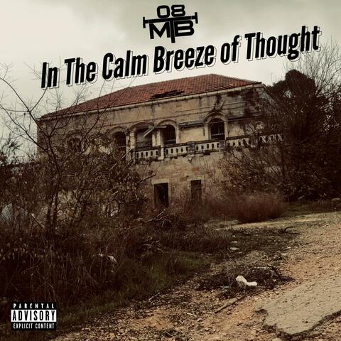 In The Calm Breeze of Thought