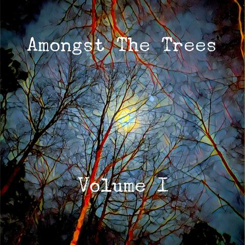 Volume I