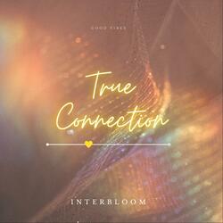 True Connection