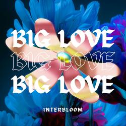 Big Love