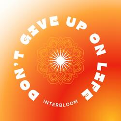 Don't Give Up