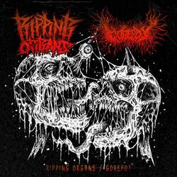 For All Ripping Organs Fans Out There