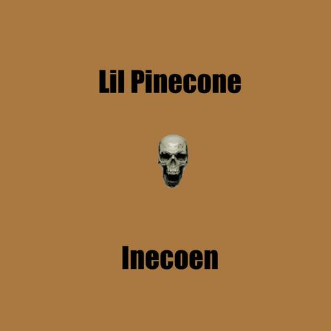 Inecoen