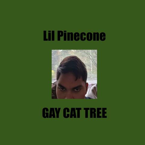 Gay Cat Tree
