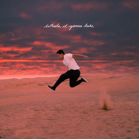 What's It Gonna Take?