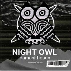 Night Owl