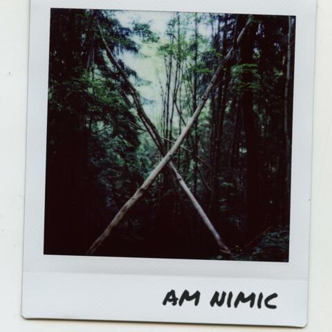 Am nimic